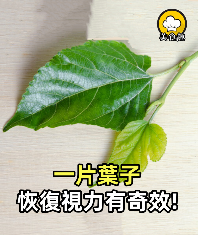 一片葉子, 恢復視力有奇效! 孩子治療近視、老人防治老花眼,見效快,趕緊撿點回來